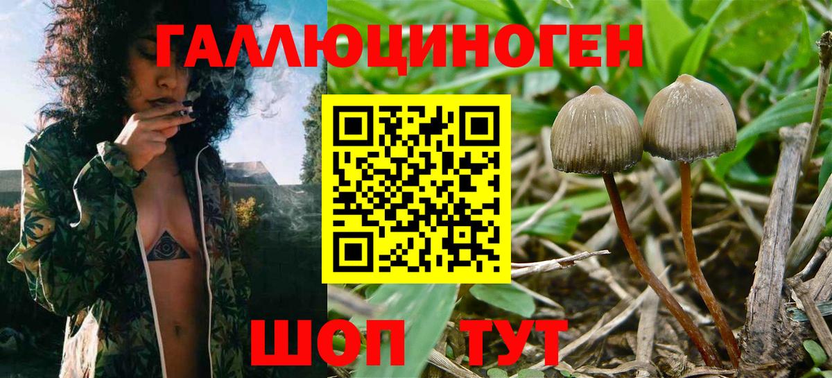 Галлюциногенные грибы прущие грибы Грязи